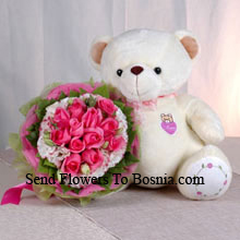 Bunch Of 12 Pink Roses And A Medium Sized Cute Teddy Bear Delivered in Bosnia
