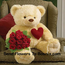 Bunch Of 12 Red Roses With A 32 Inches Tall Teddy Bear Delivered in Bosnia