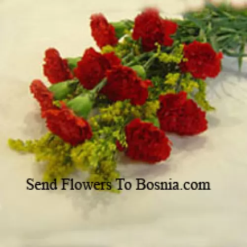 Bunch Of 10 Red Carnations